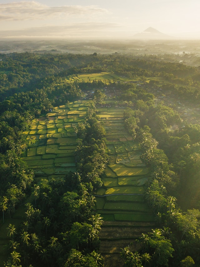 Indonesia